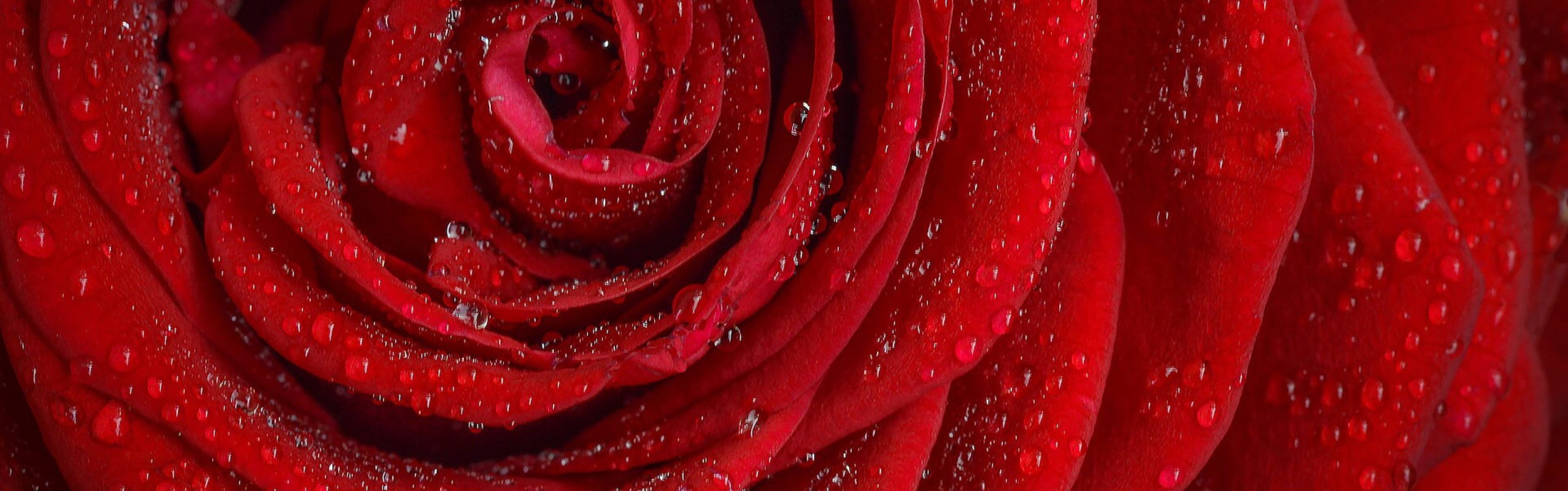 Gyvenimo kūrėjos klubas